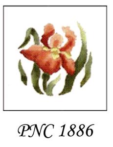 PNC 1886   CORAL IRIS