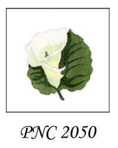 PNC 2050  CALA LILLY