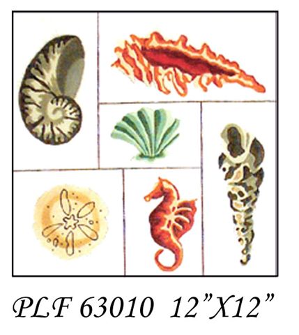 PLF 63010  SHELL COLLECTION