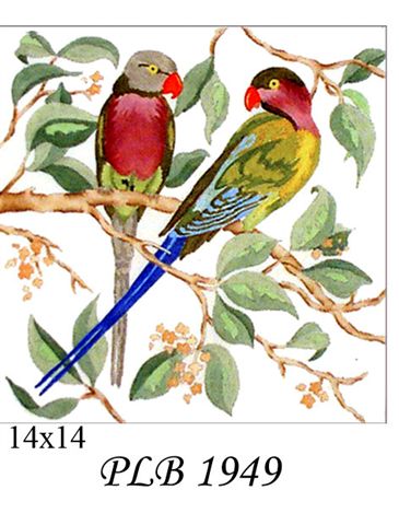 PLB 1949 LONG TAILED PARAKEETS