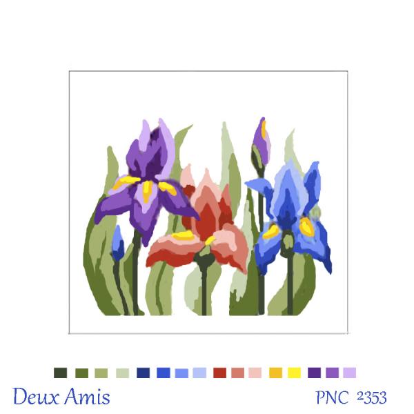 PNC 2353 Iris